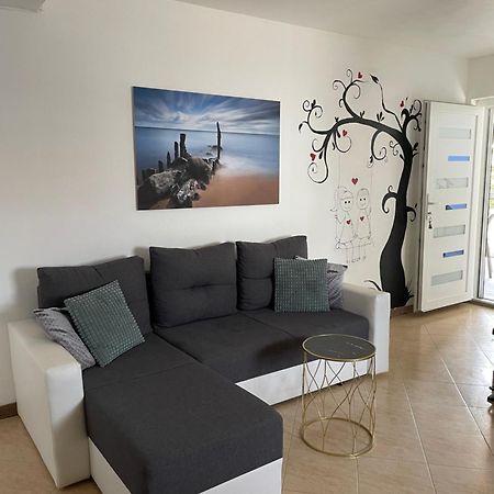Apartmani Kristo Zadar Bagian luar foto